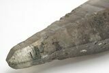 Tessin Habit Smoky Quartz Crystal - Nigeria #207982-2